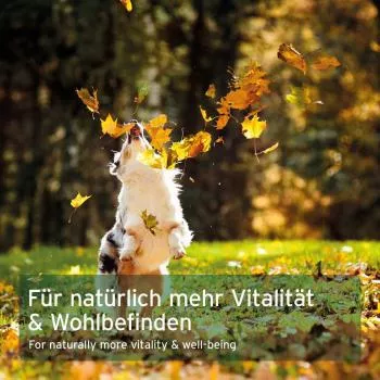 Lachsöl Omega 3 - Kapseln